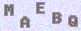 manual verify
