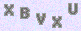 manual verify