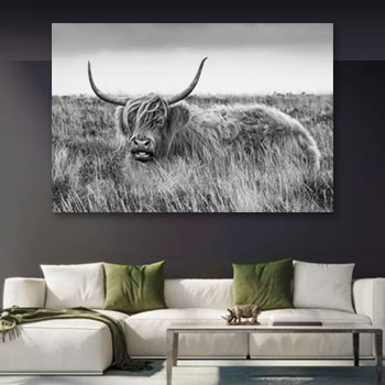 Call me Shaggy Call me Shaggy